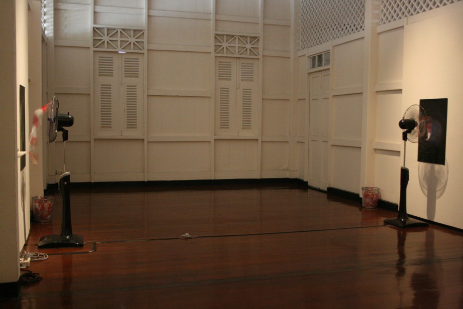 lisa-brown-nothing-is-true-installation-september-october-2011